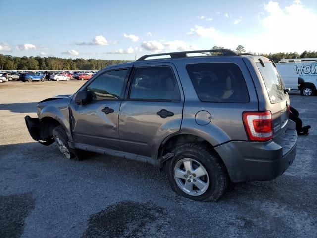 2010 Ford Escape XLS