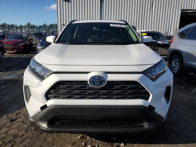 2019 Toyota Rav4 LE