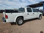 2002 Dodge Dakota Quad Sport