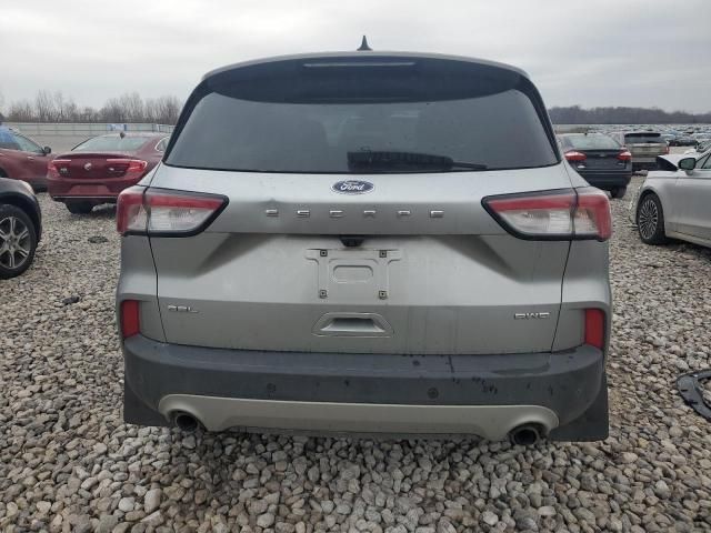 2022 Ford Escape SEL