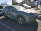 2019 Lexus NX 300H