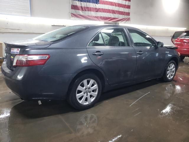 2009 Toyota Camry Hybrid