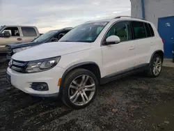 Salvage cars for sale at Windsor, NJ auction: 2013 Volkswagen Tiguan S