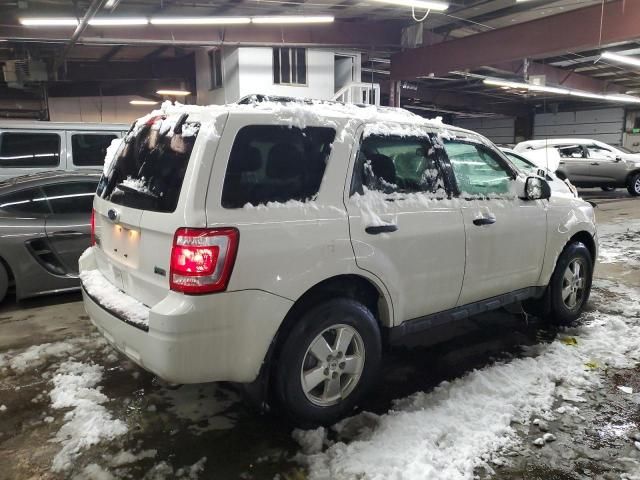 2011 Ford Escape XLT