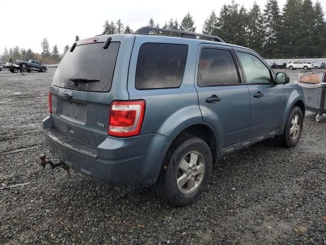 2010 Ford Escape XLT