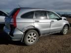 2007 Honda CR-V EXL