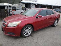 Vehiculos salvage en venta de Copart Fresno, CA: 2013 Chevrolet Malibu 1LT