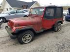 1994 Jeep Wrangler / YJ SE