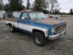 1976 Chevrolet Pickup