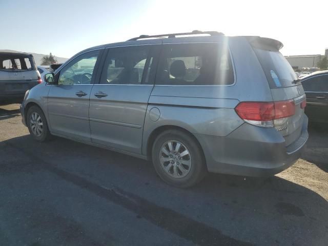 2009 Honda Odyssey EXL