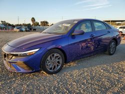 Hyundai Elantra salvage cars for sale: 2024 Hyundai Elantra Blue