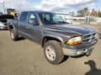 2004 Dodge Dakota Quad Sport