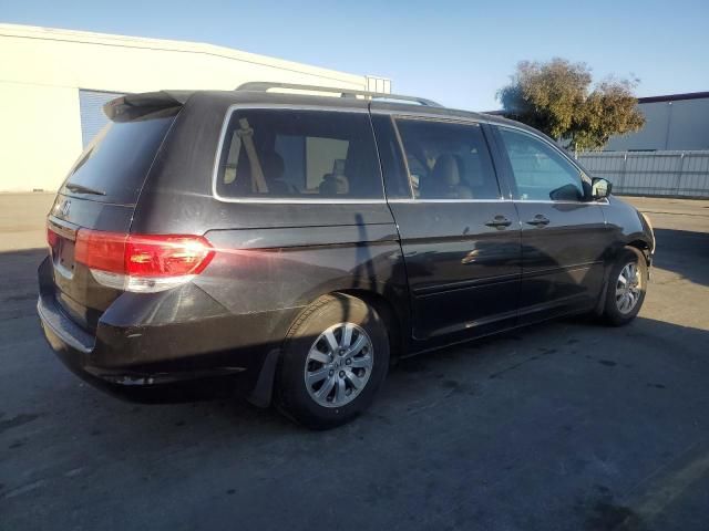 2008 Honda Odyssey EXL