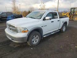 Dodge salvage cars for sale: 2010 Dodge RAM 1500