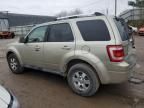 2010 Ford Escape Limited