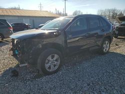 Salvage cars for sale at Columbus, OH auction: 2021 Toyota Rav4 XLE