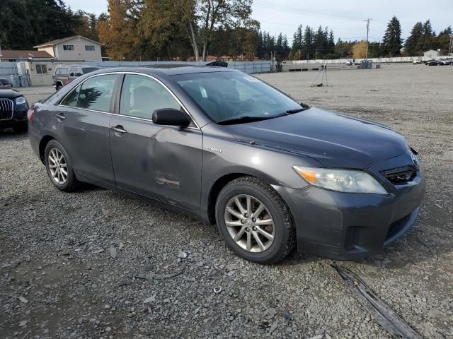 2010 Toyota Camry Hybrid