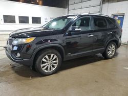 Salvage cars for sale at Blaine, MN auction: 2011 KIA Sorento EX