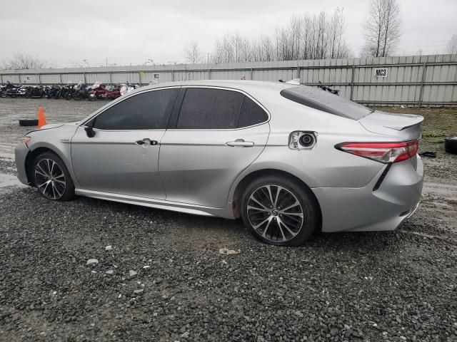 2019 Toyota Camry Hybrid