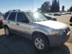 2007 Ford Escape HEV