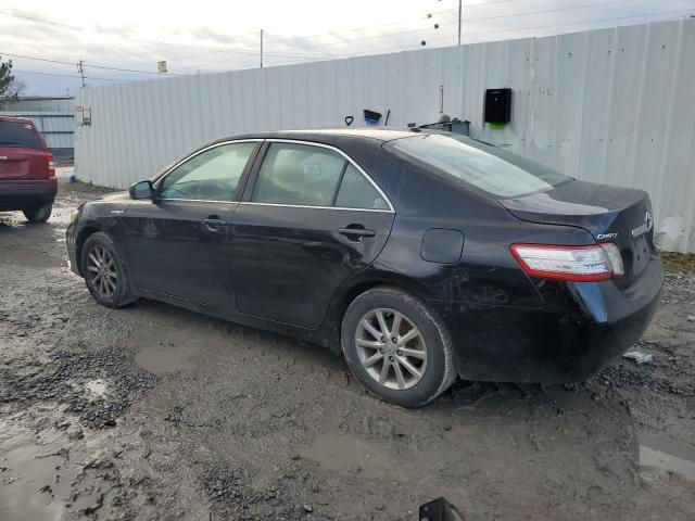 2010 Toyota Camry Hybrid