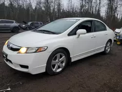 2011 Honda Civic LX-S en venta en Cookstown, ON