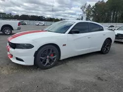 Vehiculos salvage en venta de Copart Dunn, NC: 2016 Dodge Charger R/T