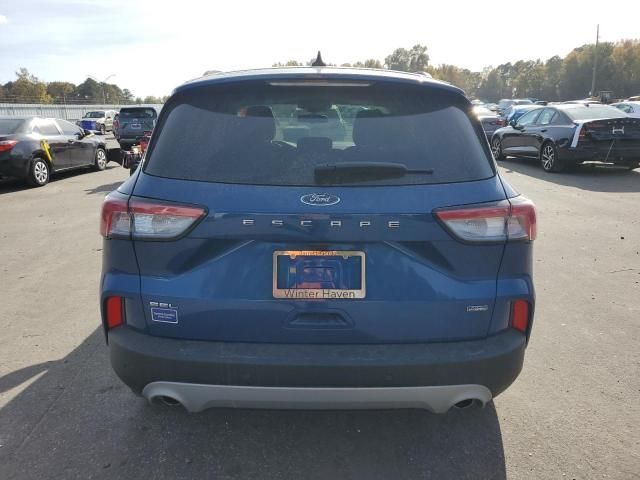 2022 Ford Escape SEL