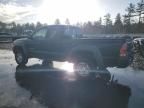 2005 Toyota Tacoma Access Cab