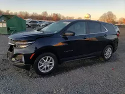 Salvage cars for sale at Hillsborough, NJ auction: 2023 Chevrolet Equinox LT