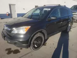 Honda cr-v ex Vehiculos salvage en venta: 2007 Honda CR-V EX