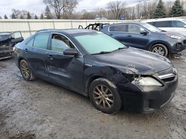 2010 Toyota Camry Hybrid