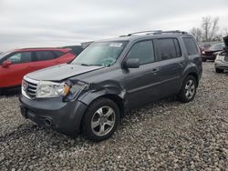 Salvage cars for sale at Wayland, MI auction: 2013 Honda Pilot Exln