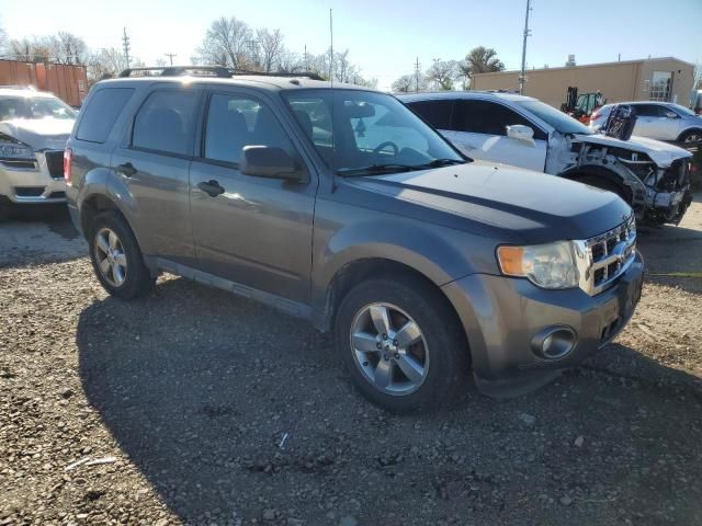 2011 Ford Escape XLT