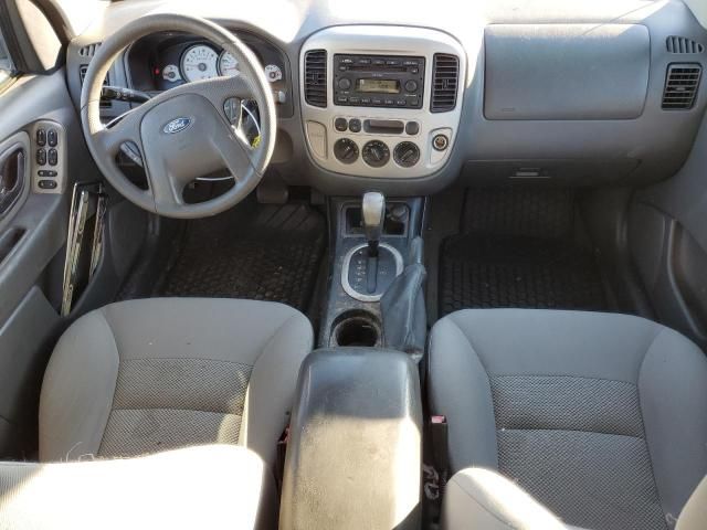 2006 Ford Escape XLT