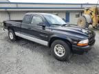 2001 Dodge Dakota