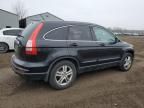 2010 Honda CR-V EXL