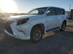 Salvage cars for sale at Fredericksburg, VA auction: 2018 Lexus GX 460 Premium