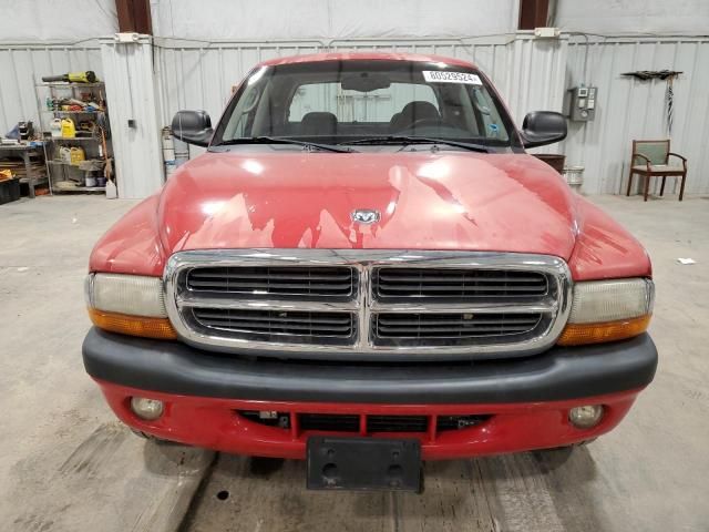 2004 Dodge Dakota Quad Sport