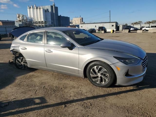 2023 Hyundai Sonata Hybrid