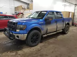 Salvage trucks for sale at Ham Lake, MN auction: 2014 Ford F150 Supercrew