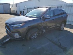 Toyota salvage cars for sale: 2024 Toyota Rav4 XLE