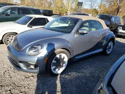 Volkswagen Beetle Vehiculos salvage en venta: 2019 Volkswagen Beetle S