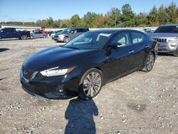 Salvage cars for sale at Memphis, TN auction: 2019 Nissan Maxima S