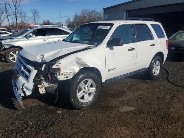 2009 Ford Escape Hybrid