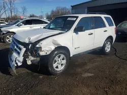 Salvage cars for sale from Copart New Britain, CT: 2009 Ford Escape Hybrid