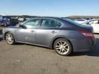 2009 Nissan Maxima S