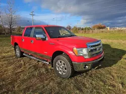 Ford f150 Supercrew salvage cars for sale: 2014 Ford F150 Supercrew