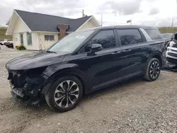 KIA Carnival e Vehiculos salvage en venta: 2024 KIA Carnival EX