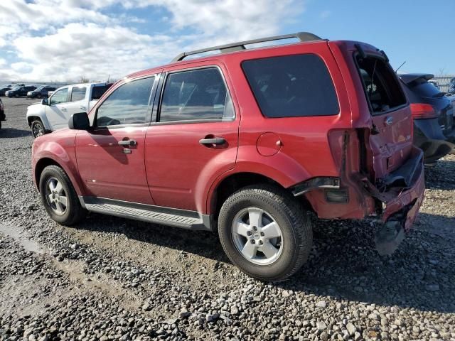 2011 Ford Escape XLT